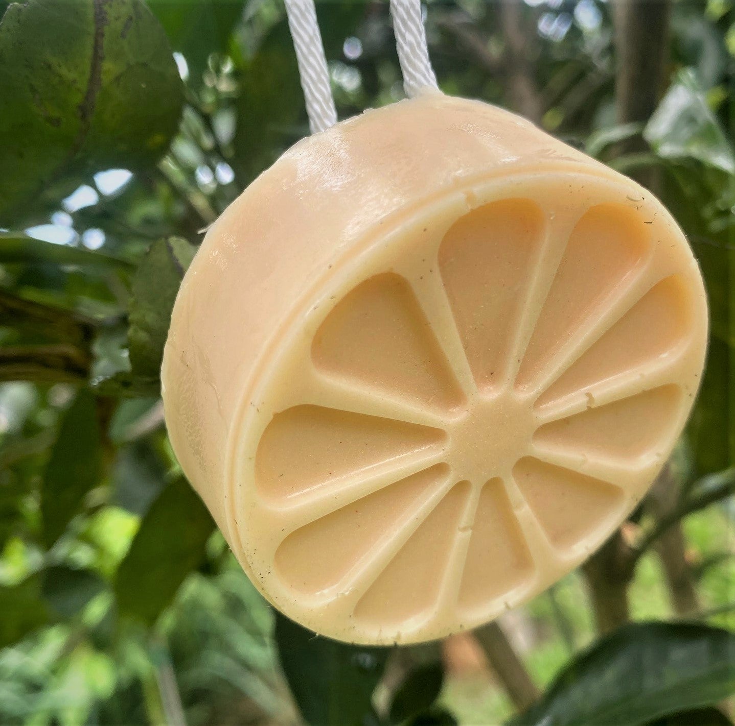 Loofah Citrus Goat Milk Soap