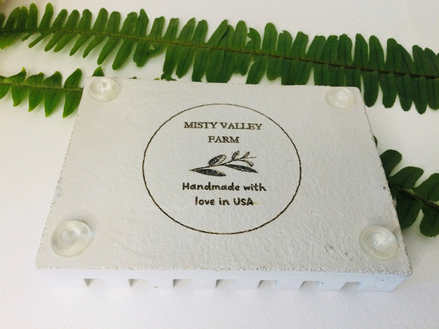 Soap Dish