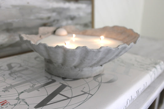 Scallop Candle - Soywax